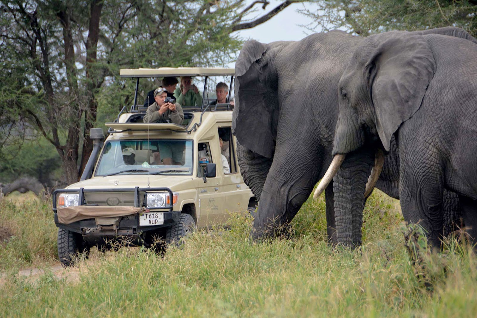 7 Days Luxury Tanzania Safari route area