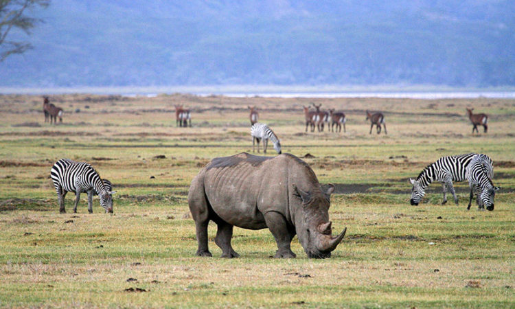 18,432 Tanzania Tour Package Combinations