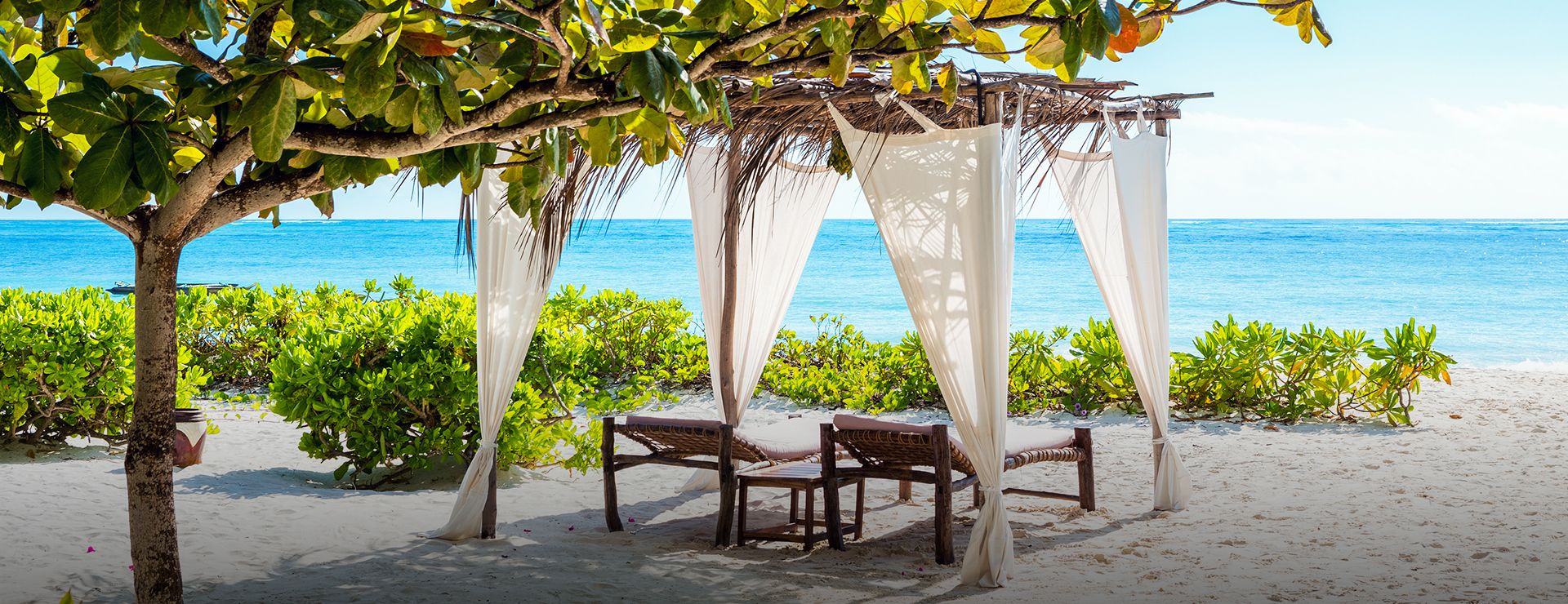 Tanzania Safari & Zanzibar Packages Guide